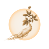 Coaching Reiki Meditation Pulheim Koeln Retreat