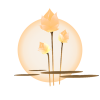 Reiki Meditation Coaching Pulheim Koeln